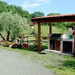 L'olivo * Bagnone