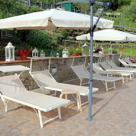 L'olivo Apartment