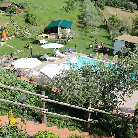 L'olivo * Bagnone