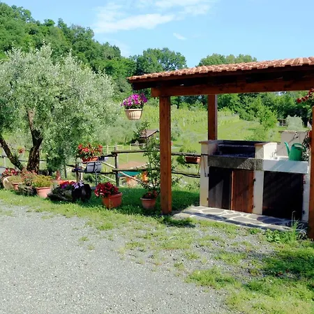 L'olivo * Bagnone